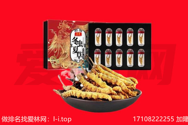 保定市高阳回收虫草.jpg
